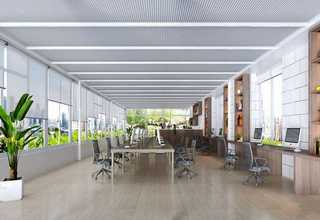 国外ultima双光子显微镜的原理