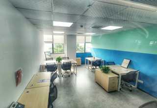 新疆纸球分切上门服务