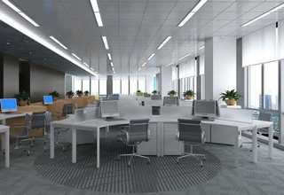 河北乳胶漆厂家