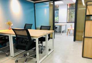 绍兴蟹味菇厂家