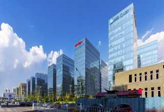 河北工业葡萄糖商家